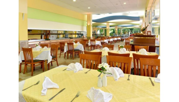 Complex Orchidea poza 6