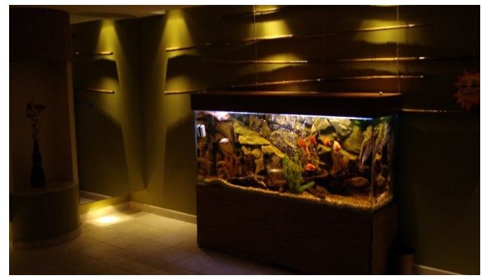 Complex Sunrise Spa & Park poza 10