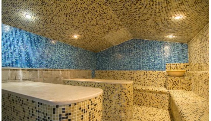 Hotel Elegant Lodge (Ex Elegant Spa) poza 3