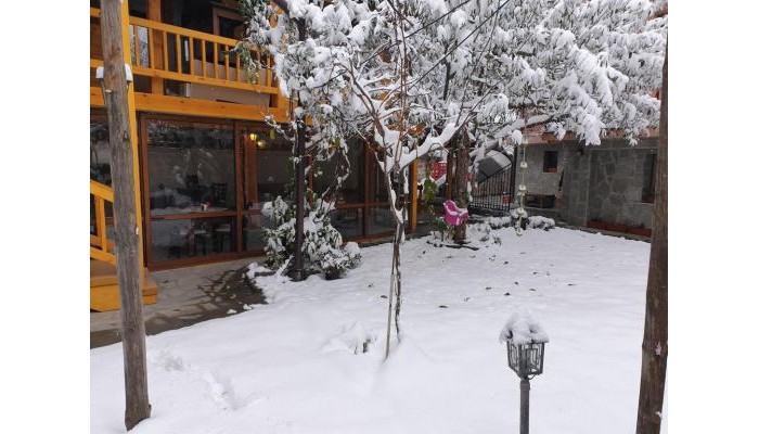 Hotel Mamin Kolio poza 15