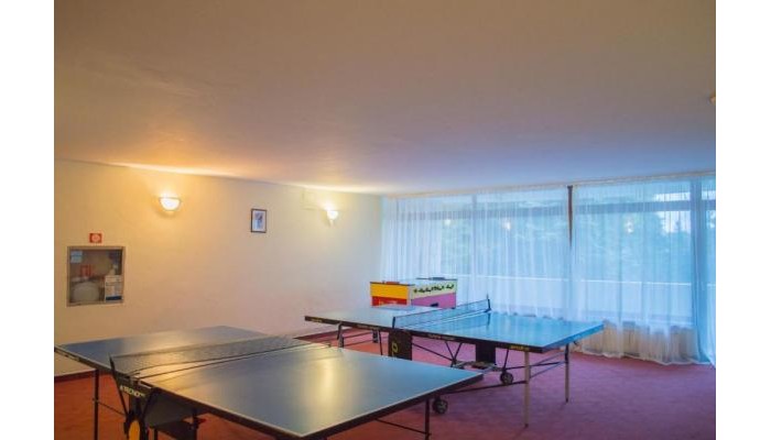 Hotel Borovets Edelweiss poza 18