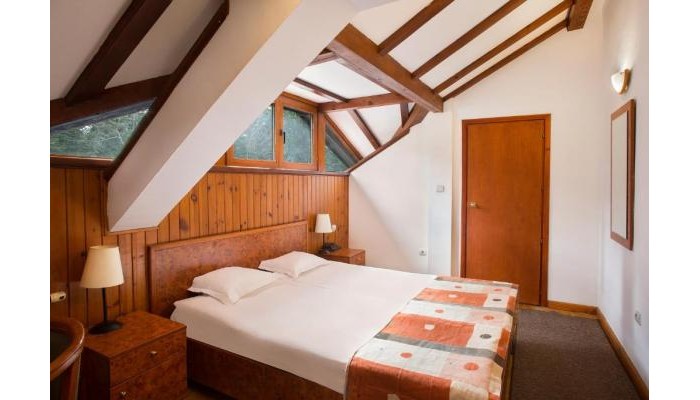 Hotel Victoria poza 7