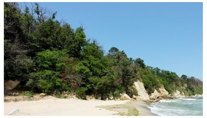 Hotel Vemara Club poza 10