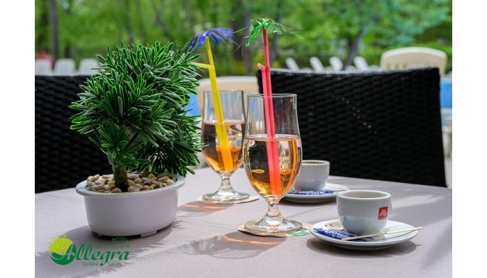 Hotel Allegra Balneo & Spa poza 33