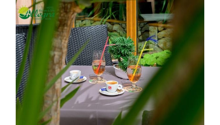 Hotel Allegra Balneo & Spa poza 34
