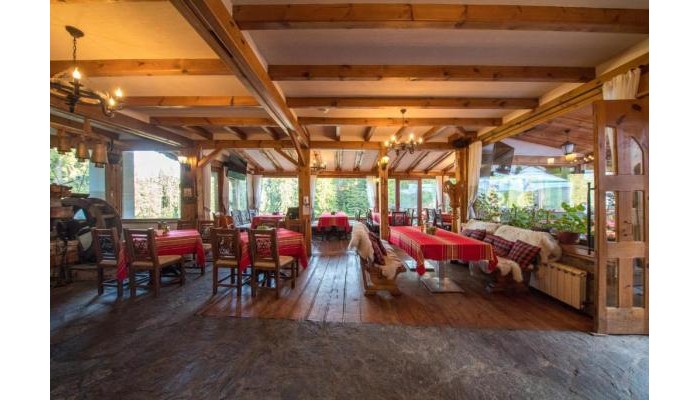 Complex Kamelia poza 11