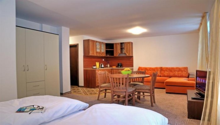 Hotel Mountain Lodge poza 6