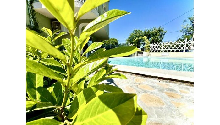 Poza pentru Hotel Amfora 4272-1729164624 Hotel Amfora poza 18