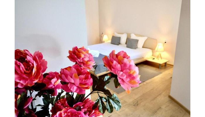 Poza pentru Hotel Amfora 6063-1729164552 Hotel Amfora poza 5