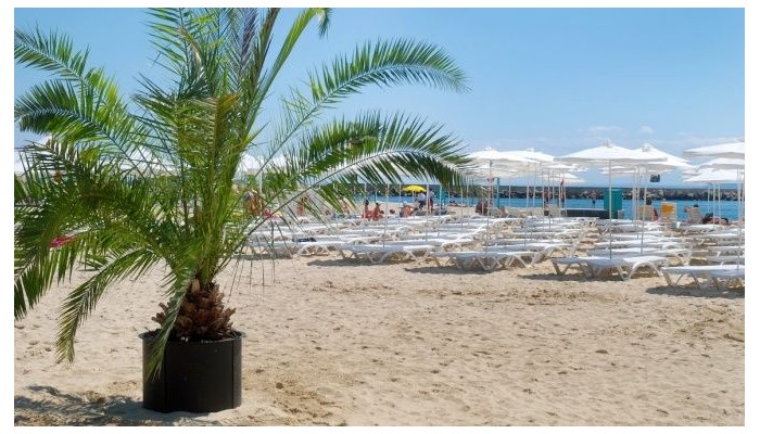 Hotel Dolphin poza 14