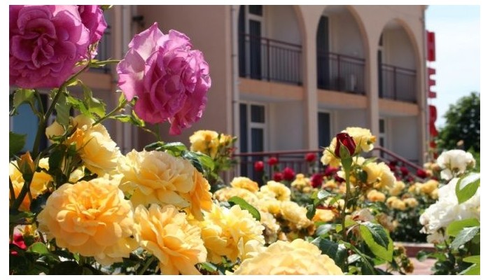Hotel Hera poza 67