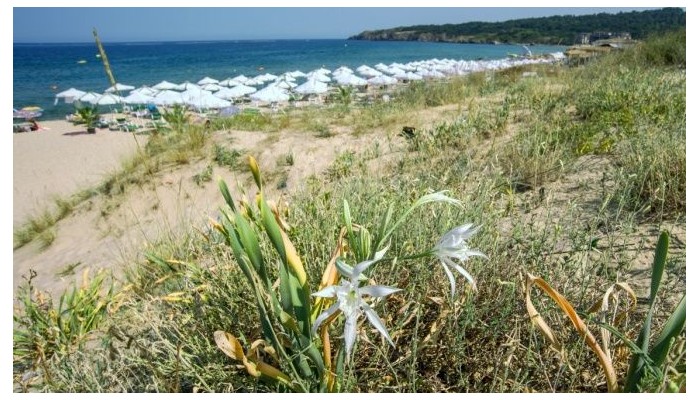 Hotel Miramar poza 24