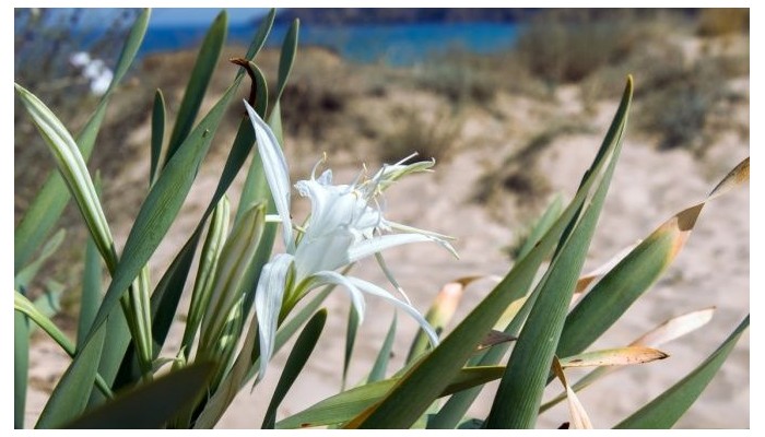 Hotel Miramar poza 56