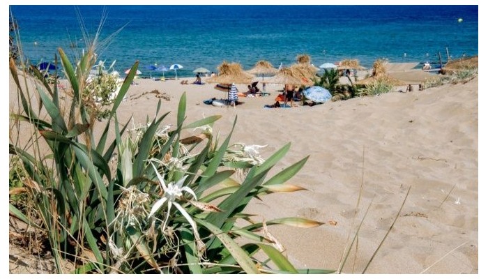 Hotel Miramar poza 62