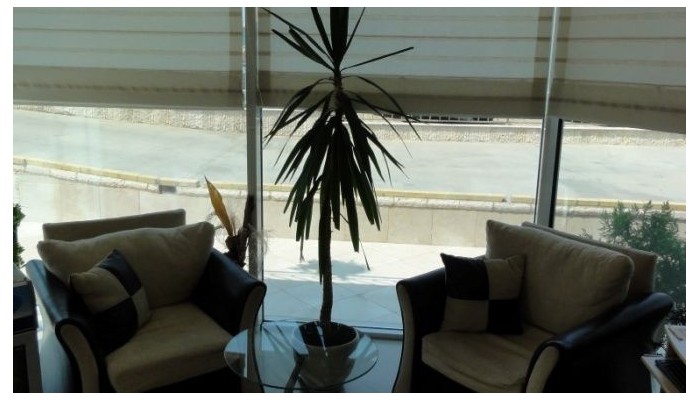 Hotel Selena Beach poza 8
