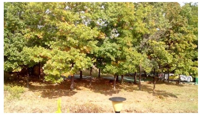 Hotel Serena Residence poza 45