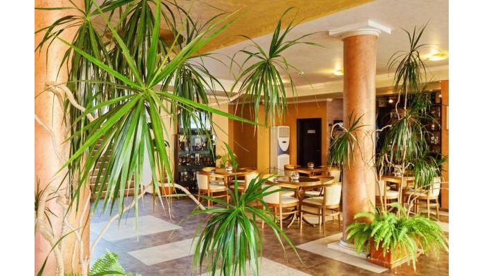 Hotel Forum poza 13