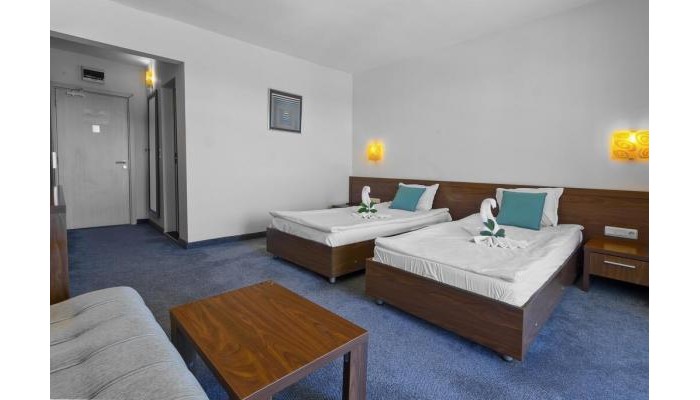 Hotel Glarus poza 6