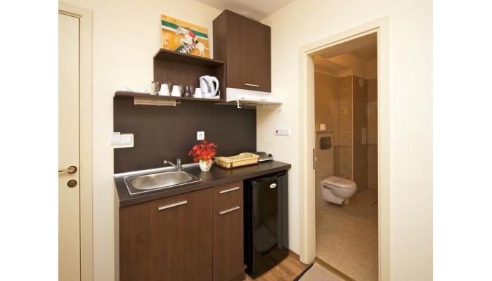 Hotel Golden Ina poza 11