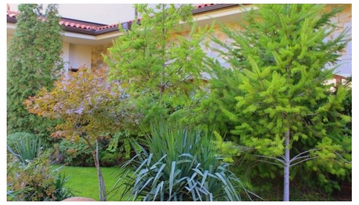 Hotel Helena Sands poza 63