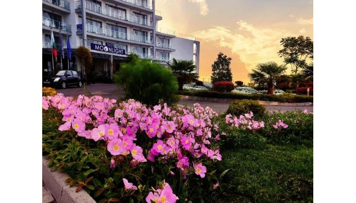 Poza pentru Hotel Moonlight 597-1696315699 Hotel Moonlight poza 39